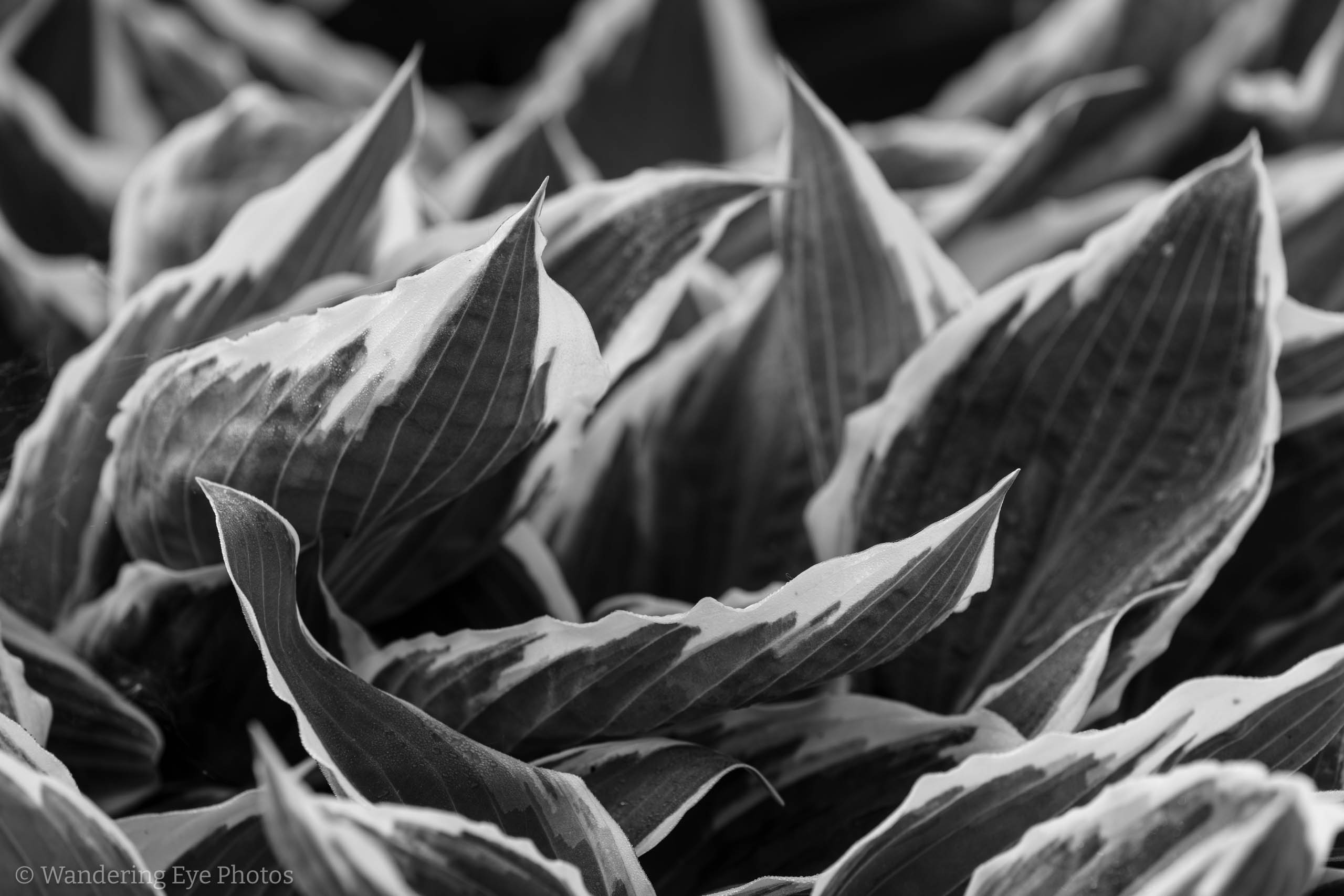 05.11 08.13.08   DSC09878